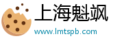 上海魁飒